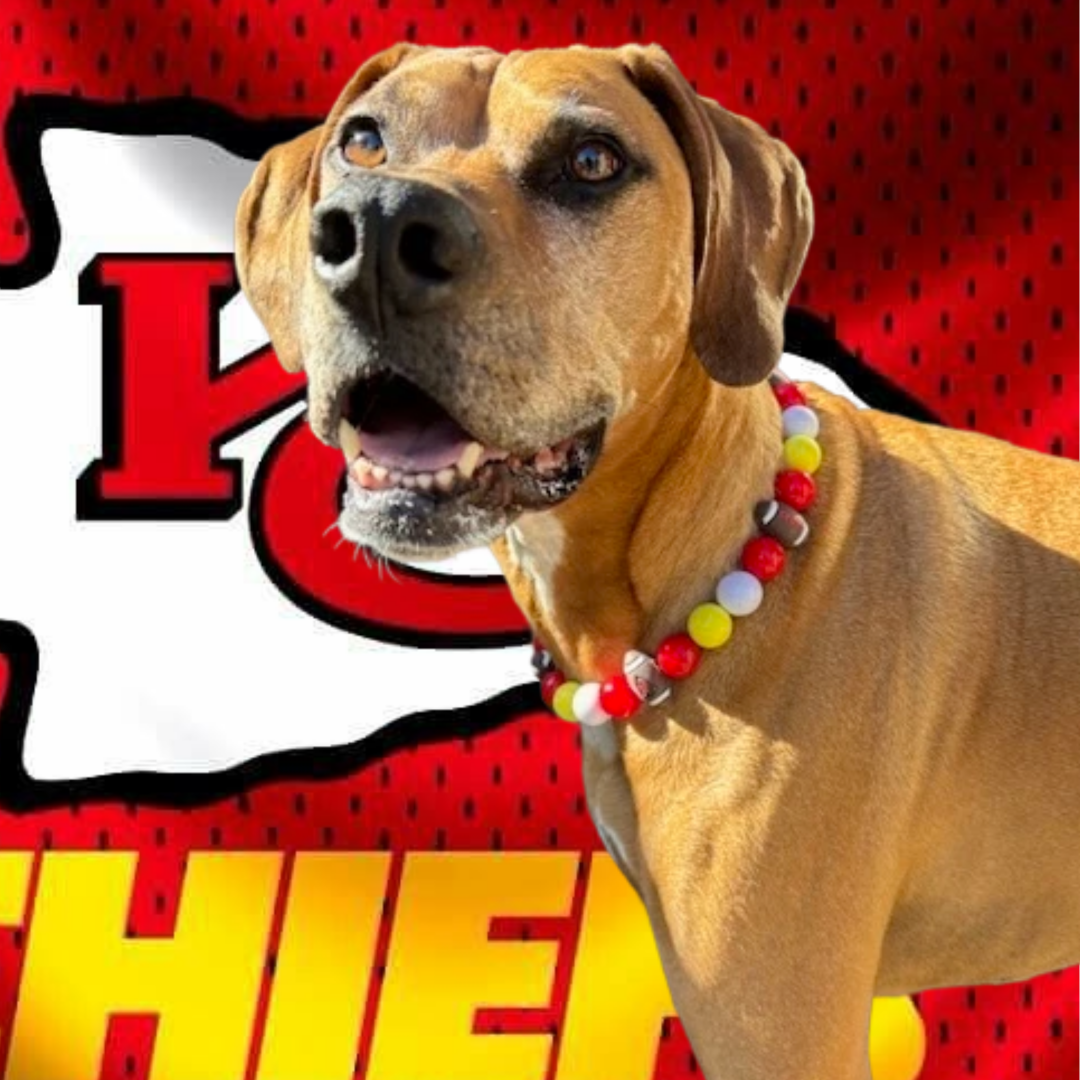 KC Chiefs Football